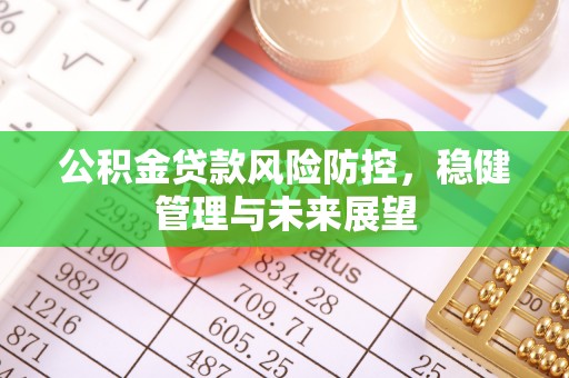 望江公积金贷款风险防控，稳健管理与未来展望