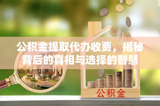 望江公积金提取代办收费，揭秘背后的真相与选择的智慧