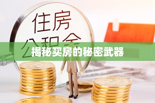 望江揭秘买房的秘密武器