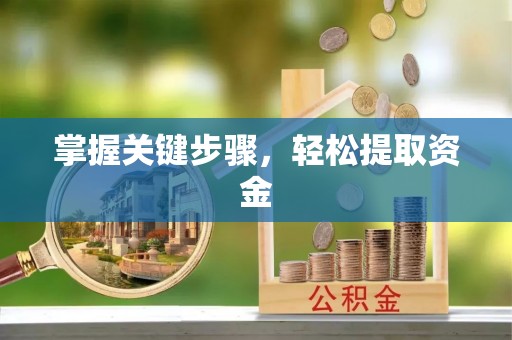 望江掌握关键步骤，轻松提取资金