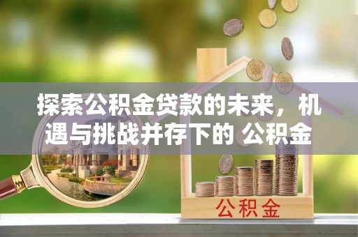 望江探索公积金贷款的未来，机遇与挑战并存下的 公积金贷款风险防控