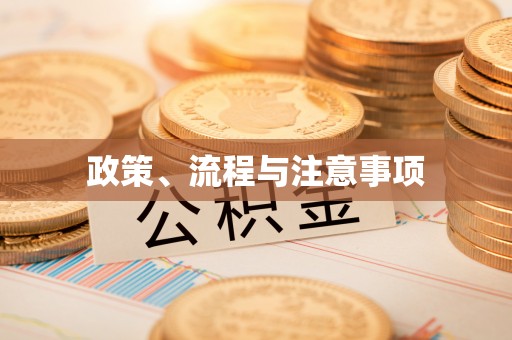 望江政策、流程与注意事项