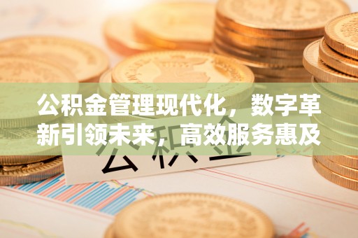 望江公积金管理现代化，数字革新引领未来，高效服务惠及民生