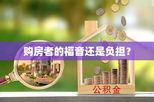 望江购房者的福音还是负担？
