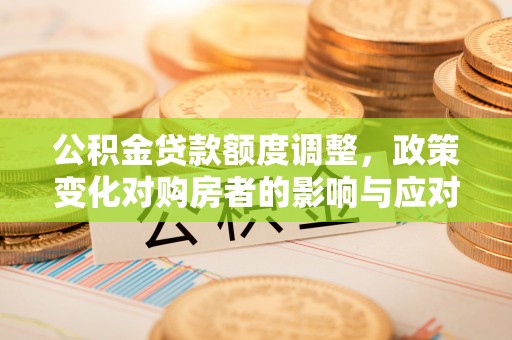 望江公积金贷款额度调整，政策变化对购房者的影响与应对策略