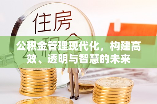 望江公积金管理现代化，构建高效、透明与智慧的未来