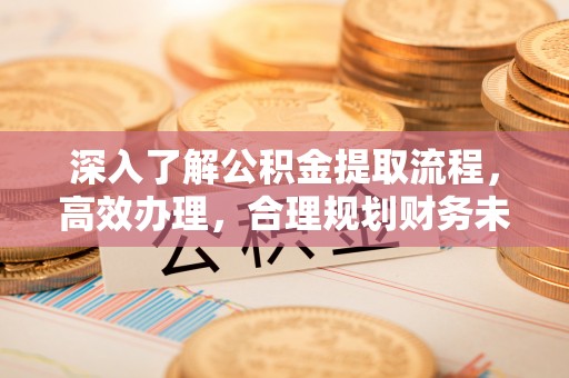 望江深入了解公积金提取流程，高效办理，合理规划财务未来