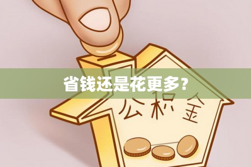 望江省钱还是花更多？