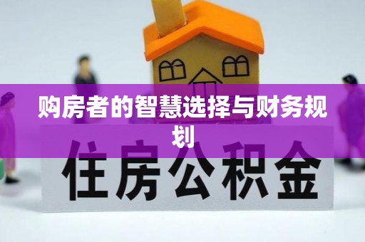 望江购房者的智慧选择与财务规划