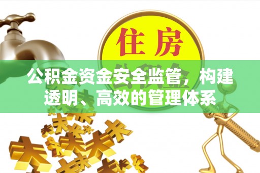 望江公积金资金安全监管，构建透明、高效的管理体系