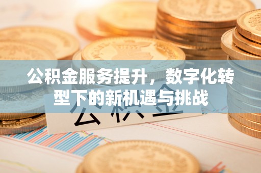 望江公积金服务提升，数字化转型下的新机遇与挑战