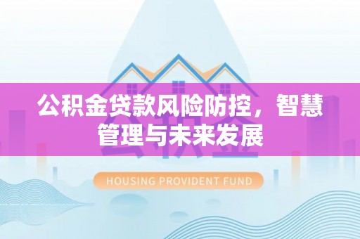望江公积金贷款风险防控，智慧管理与未来发展