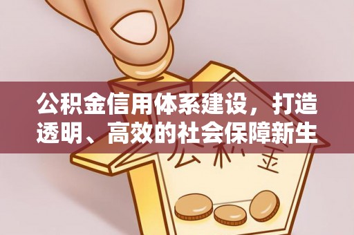 望江公积金信用体系建设，打造透明、高效的社会保障新生态
