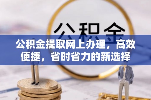 望江公积金提取网上办理，高效便捷，省时省力的新选择