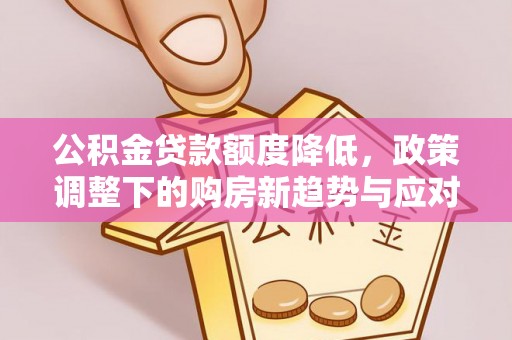 望江公积金贷款额度降低，政策调整下的购房新趋势与应对策略