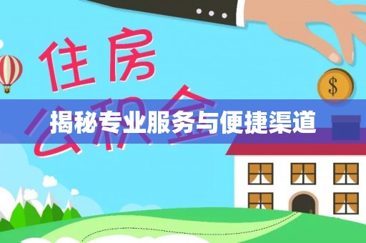 望江揭秘专业服务与便捷渠道