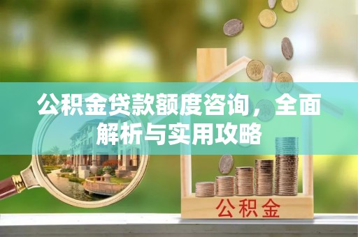 望江公积金贷款额度咨询，全面解析与实用攻略