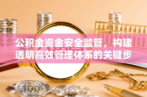望江公积金资金安全监管，构建透明高效管理体系的关键步骤