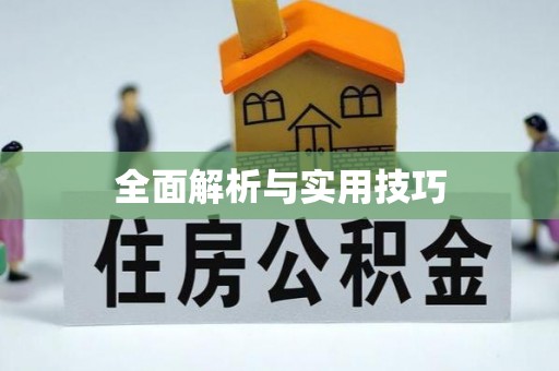 望江全面解析与实用技巧