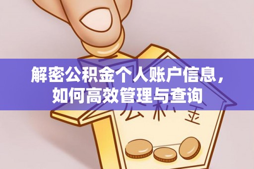 望江解密公积金个人账户信息，如何高效管理与查询