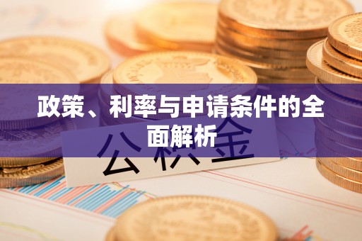 望江政策、利率与申请条件的全面解析