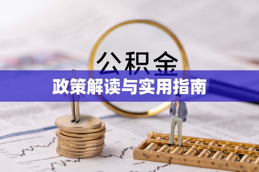 望江政策解读与实用指南