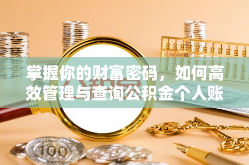 望江掌握你的财富密码，如何高效管理与查询公积金个人账户信息
