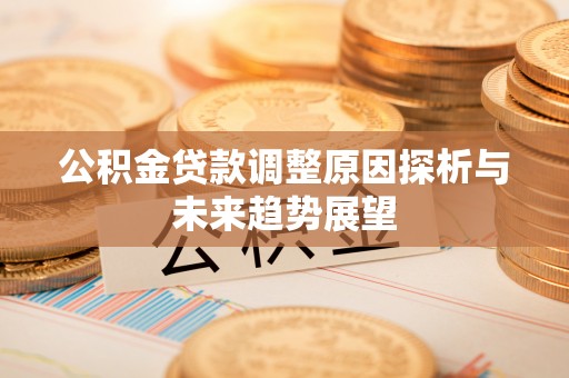 望江公积金贷款调整原因探析与未来趋势展望