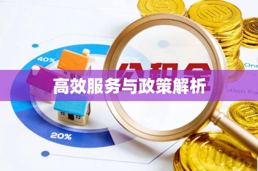 望江高效服务与政策解析