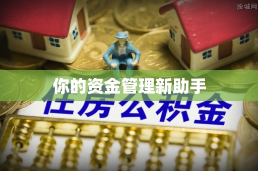 望江你的资金管理新助手