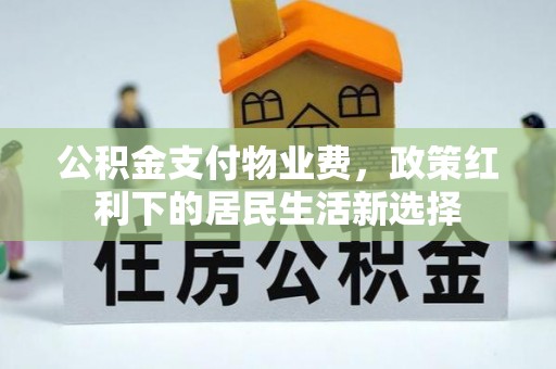 望江公积金支付物业费，政策红利下的居民生活新选择