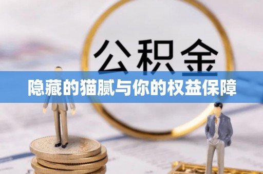 望江隐藏的猫腻与你的权益保障