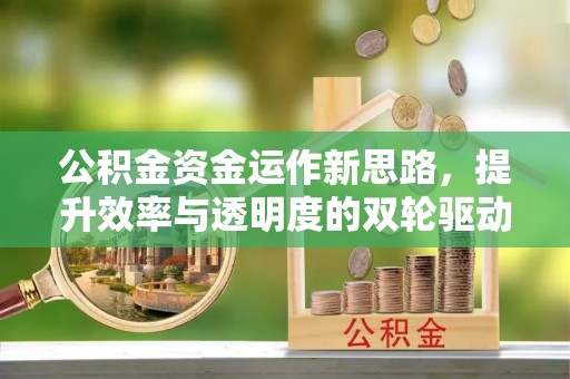 望江公积金资金运作新思路，提升效率与透明度的双轮驱动