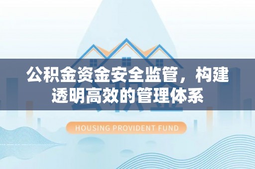 望江公积金资金安全监管，构建透明高效的管理体系