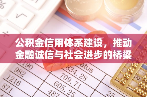 望江公积金信用体系建设，推动金融诚信与社会进步的桥梁