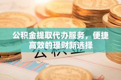 望江公积金提取代办服务，便捷高效的理财新选择