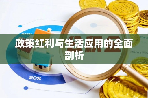 望江政策红利与生活应用的全面剖析