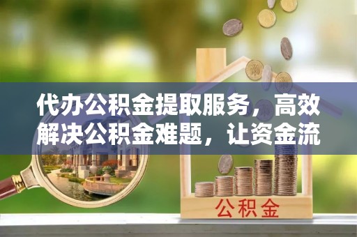 望江代办公积金提取服务，高效解决公积金难题，让资金流动更自由