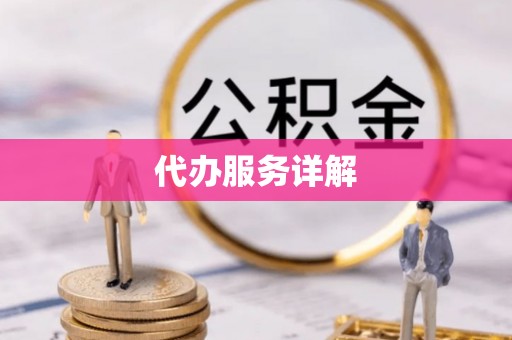望江代办服务详解