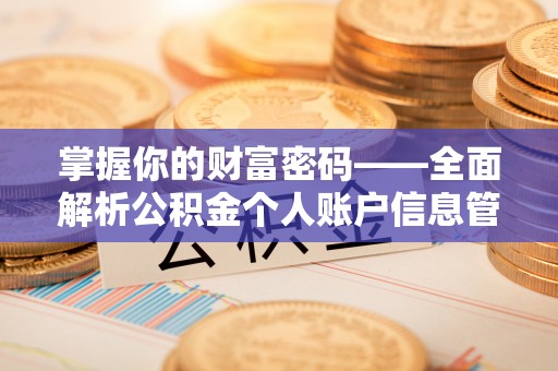 望江掌握你的财富密码——全面解析公积金个人账户信息管理与优化