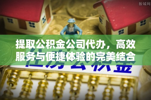 望江提取公积金公司代办，高效服务与便捷体验的完美结合