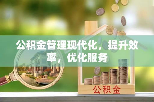 望江公积金管理现代化，提升效率，优化服务