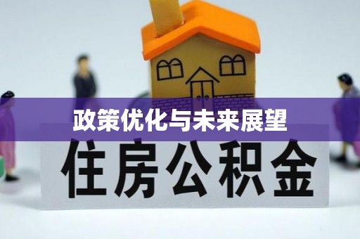 望江政策优化与未来展望