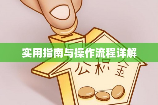 望江实用指南与操作流程详解