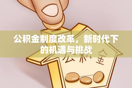 望江公积金制度改革，新时代下的机遇与挑战