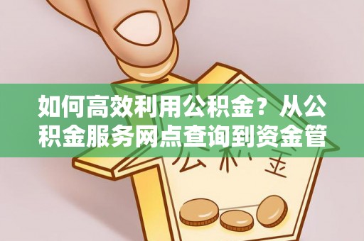 望江如何高效利用公积金？从公积金服务网点查询到资金管理全攻略