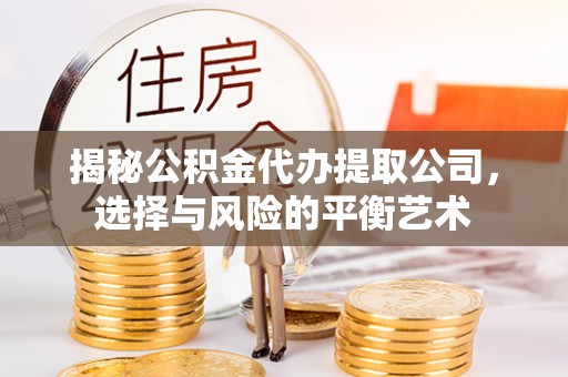 望江揭秘公积金代办提取公司，选择与风险的平衡艺术