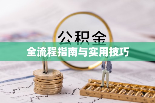 望江全流程指南与实用技巧