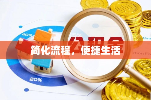 望江简化流程，便捷生活