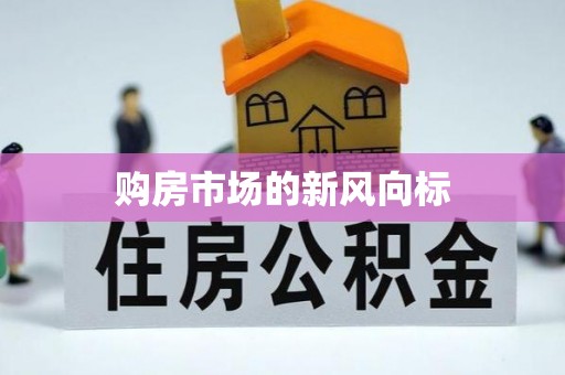 望江购房市场的新风向标